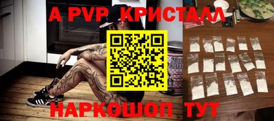 спиды Донской