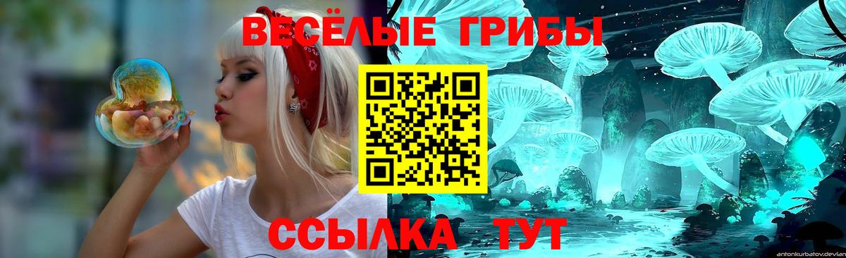 Псилоцибиновые грибы Psilocybe  Галлюциногенные грибы Psilocybe  Вход с VPN  Нерюнгри 