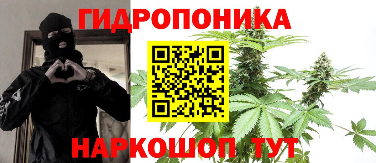 МАРИХУАНА план Нерюнгри