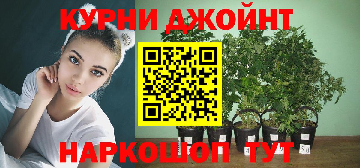 Бошки Шишки планчик  Бошки марихуана Ganja  Нерюнгри  Вход с VPN  Конопля VHQ 